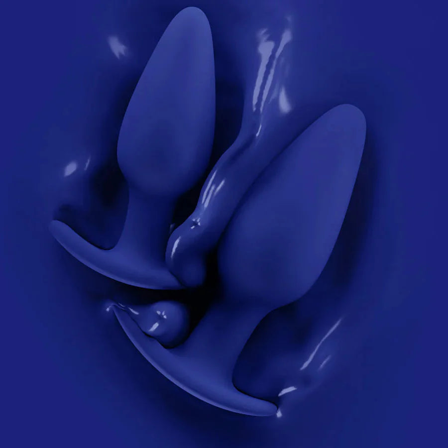 Biird Regii Silicone Anal Plugs Set 2-Pcs-1