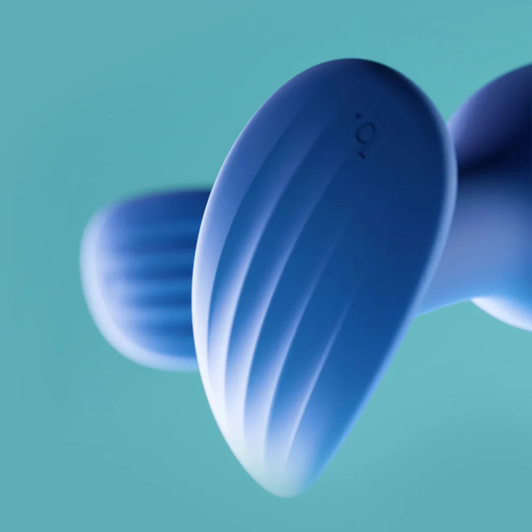 Biird Regii Silicone Anal Plugs Set 2-Pcs-3
