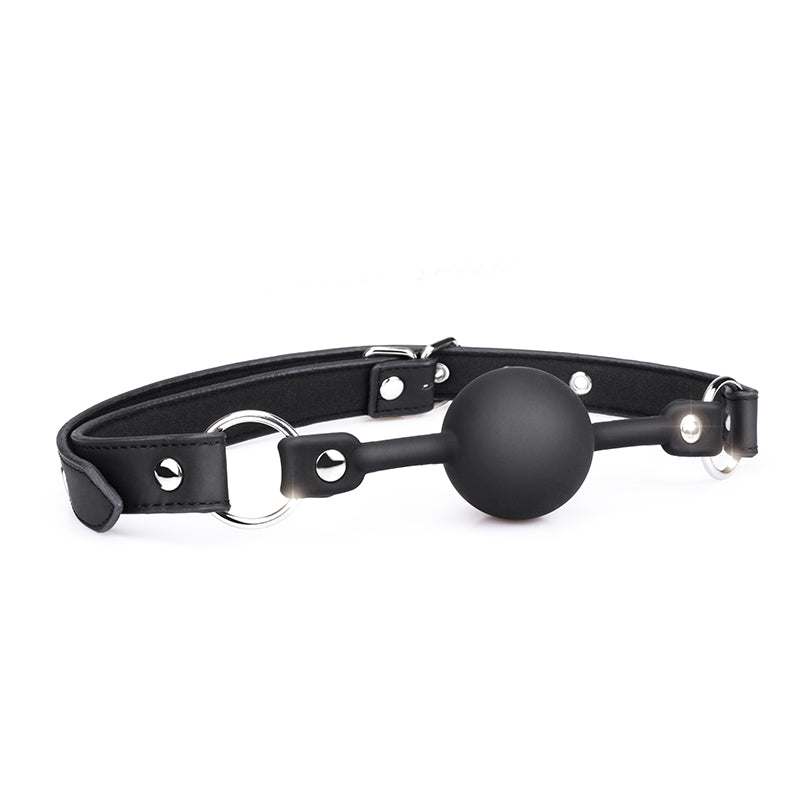 Shaki Mysterious Nipple Clamps and Ball Gag-2